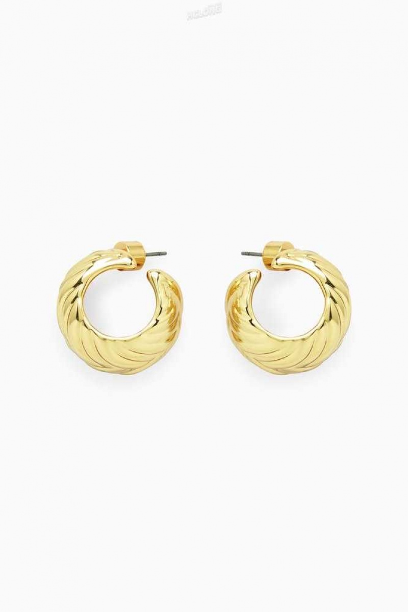 Women's COS Chunky Plait Hoop Earrings | 0243CLDTK