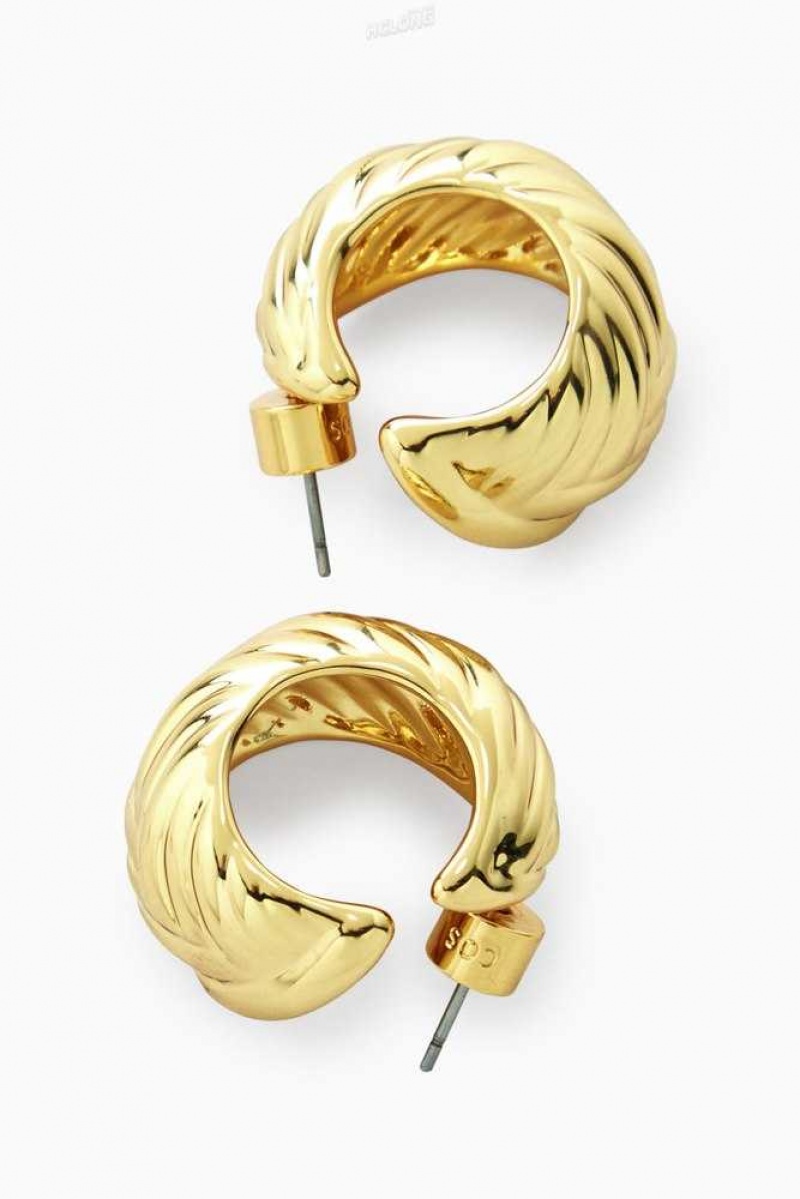 Women's COS Chunky Plait Hoop Earrings | 0243CLDTK